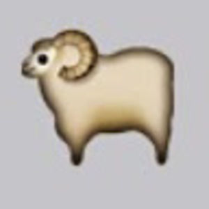 Meet your Posher, Chloe